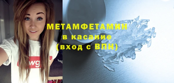индика Богородицк