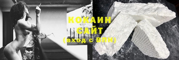 индика Богородицк