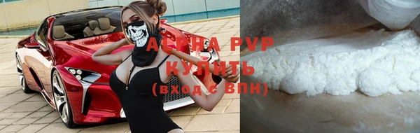 индика Богородицк
