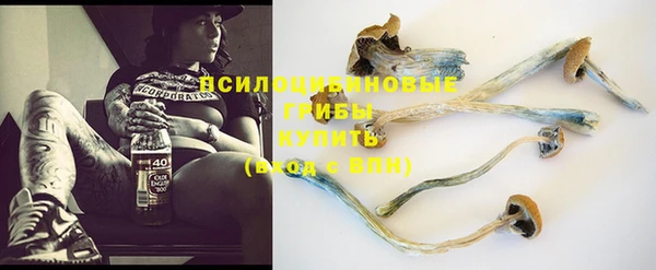 кокаин перу Богданович
