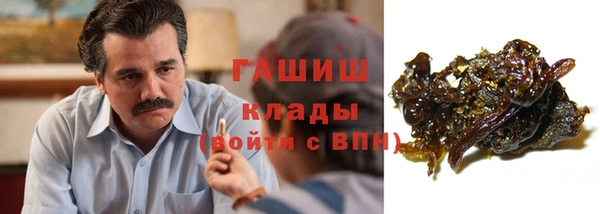 индика Богородицк