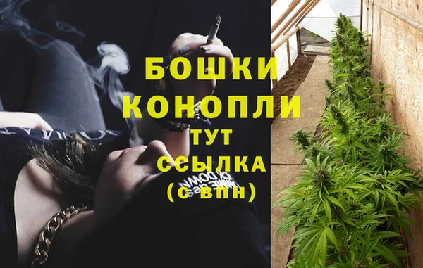 индика Богородицк