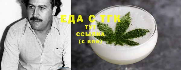 индика Богородицк