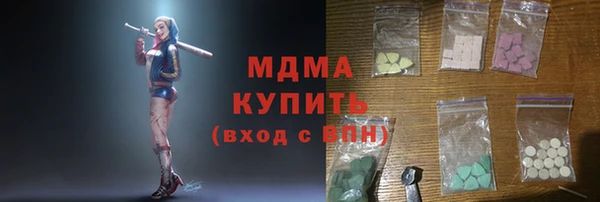 индика Богородицк