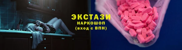 индика Богородицк