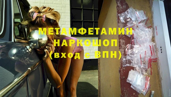 индика Богородицк