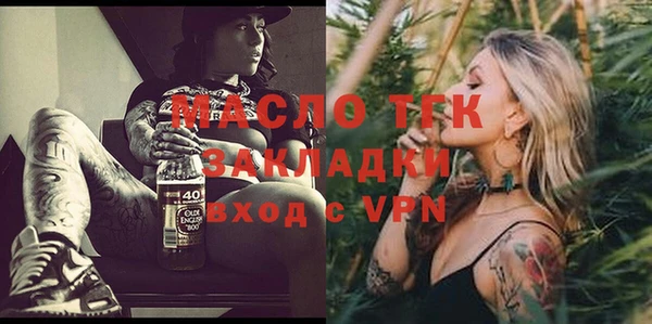 индика Богородицк