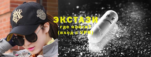 индика Богородицк