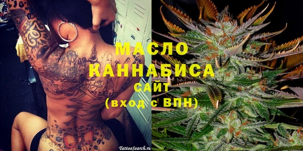 индика Богородицк
