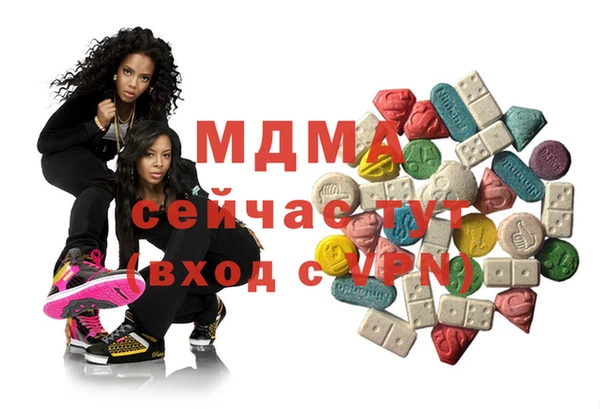 индика Богородицк