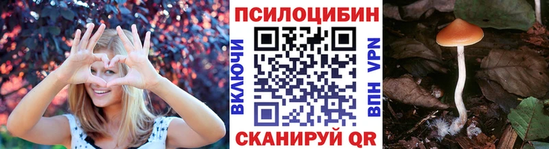 MEGA tor  сколько стоит  Пионерский  Галлюциногенные грибы GOLDEN TEACHER 