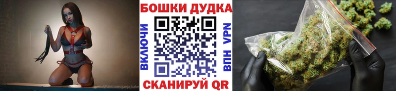 Марихуана план  Пионерский 